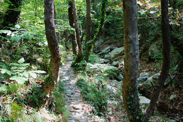 The path of the centaurs (after Cyclone Daniel) Portaria Pelion Greece