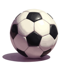 Fototapeta premium Black and White Soccer Ball