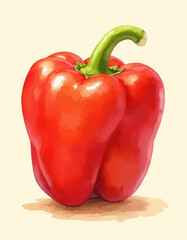 Bright Red Bell Pepper Illustration