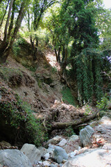 The path of the centaurs (after Cyclone Daniel) Portaria Pelion Greece