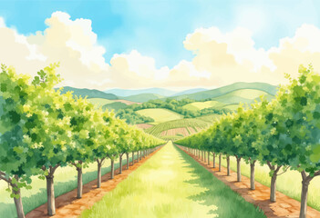Naklejka premium Serene Vineyard Pathway