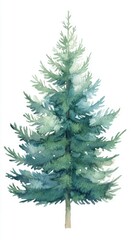 Fototapeta premium Watercolor Painting of Lush Pine Tree