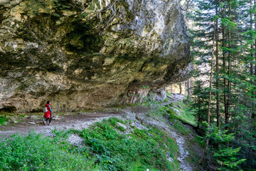 A person is walking on a path in the woods