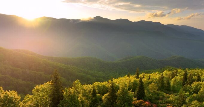 Bright sunset in Smokey Mountains near Mount Mitchell. Appalachian mountains in North Carolina with fresh green forest trees in summertime season. Beauty of USA nature