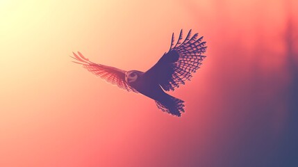 Fototapeta premium Simplistic owl silhouette in flight, using only a few sweeping lines to define wings and body, set against a muted pastel background. Smooth and clean linework, flat colors, no additional textures,