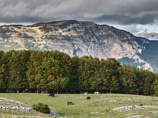 Autunno nel Parco Naturale Regionale dei Monti Simbruini - Fondi di Jenne / Roma