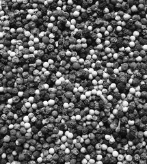 Peppercorns Mixed Abundant Topview Black Monochrome Spices Texture Pattern Background