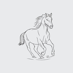 Hand Drawing Outline Horse Clean Background