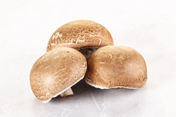 Raw brown champignon for cooking