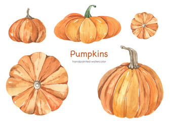Pumpkins watercolor clipart on white background, autumn vegetable illustration