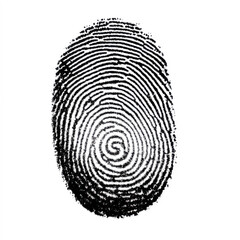Human ink fingerprint isolated on white background