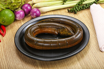 Fresh raw uncooked eel for grill