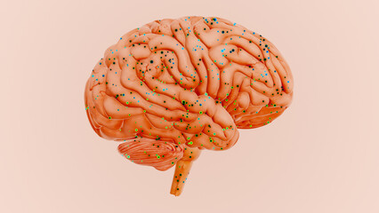 Neural Signals Transmitting Information Within the Brain