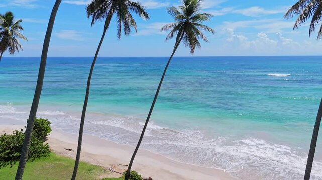 Drone cinematic Playa Los Coquitos, Maria Trinidad Sanchez, Dominican Republic.