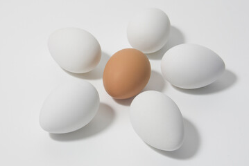 Chicken eggs laid out in the shape of a chamomile flower