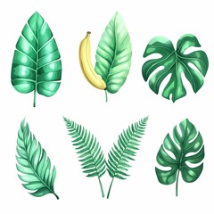 Tropical Watercolor Leaves and Banana Collection