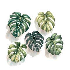 Fototapeta premium Tropical Watercolor Leaves Collection