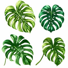 Tropical Watercolor Leaves Collection for Design Projects