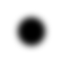 Shadow Black Circle fade up on transparent background © Anny Stock