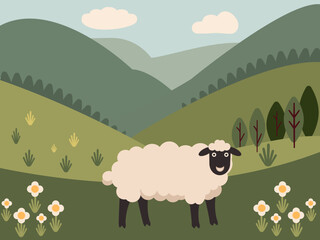 Sheep grazing on the meadow in the mountains