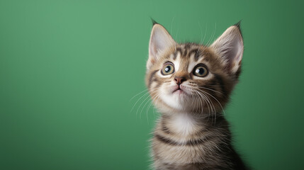 An adorable kitten gazes upward with wide eyes, its soft fur contrasting beautifully against the bright green backdrop, exuding a playful innocence, copy space