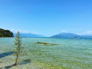 A panorama of crystal clear lake water through which you can see a sandy shore and stones covered with green aquatic vegetation.