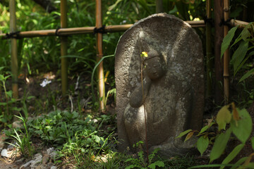 鎌倉の花、桜、春、グリーン、大仏、寺