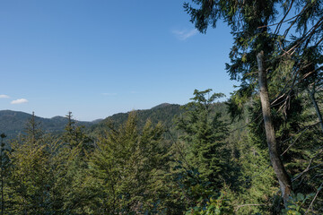 vista panoramica su un verde ambiente boschivo e collinare nella Slovenia occidentale, in autunno,...