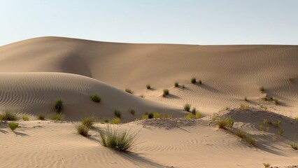 As sun drops below horizon desert dunes glow in warm fading light. Soft shadows stretch across sandy peaks, transforming evening into calm, peaceful scene with golden tones across expansive landscape.