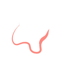 Whipworm Vector Illustration 