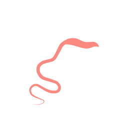 Whipworm Vector Illustration 