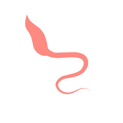 Whipworm Vector Illustration 