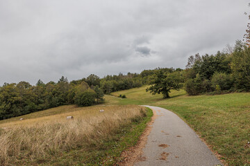 vista panoramica su un verde ambiente collinare con prati e boschi, nella Slovenia occidentale, di giorno, a inizio autunno, con cielo nuvoloso