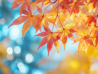 autumn scene with fallen leaves on a stone path, framed by autumn trees and a clear blue sky.