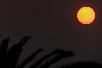 Sunspots visible with the naked eye, as soon through dense smoke form planned burning of bush land,...