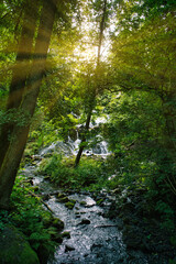 Small waterfall flows into a stream in Sweden. Forest on the riverbank.