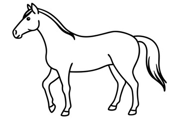 horse isolated on white background