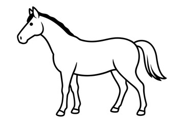 horse isolated on white