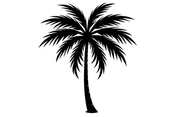 Obraz premium palm tree silhouette