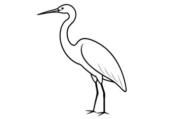 heron ardea cinerea