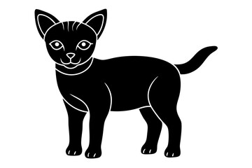 black cat isolated on white