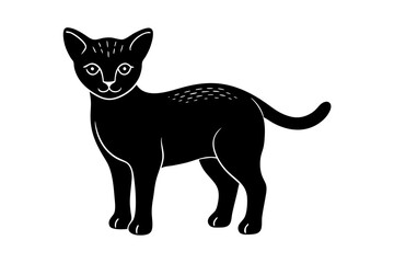 black cat isolated on white
