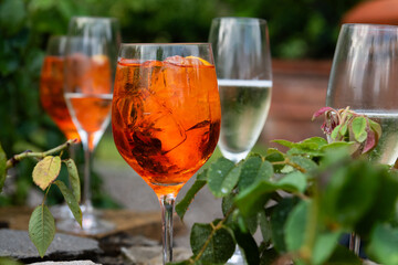 Cold, iced summery orange aperitif drink in a wine glass