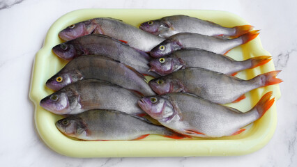   fish: hanger placed on a tray, ready to start cooking 