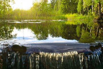 Waterfall in front of a lake in Sweden. Water lilies and reeds in the water. Trees