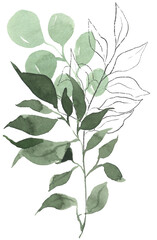 Watercolor green handpainted botanical leaf illustration
