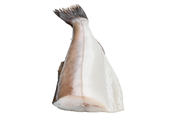 Haddock fish isolated on transparent or white background