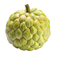 Custard apple on white background