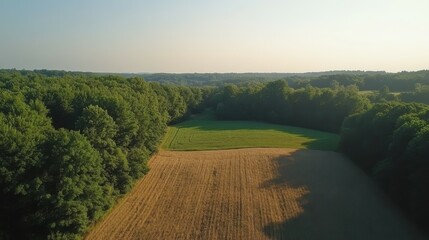 Fototapeta premium A high-definition aerial shot of patchwork fields with different crops in various shades of green and brown, bordered by tree lines, under a bright clear sky, perfect for copy space