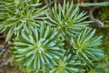 Eine Reise auf Gran Canaria.